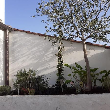 Apartmán Il Nido Terni Exteriér fotografie