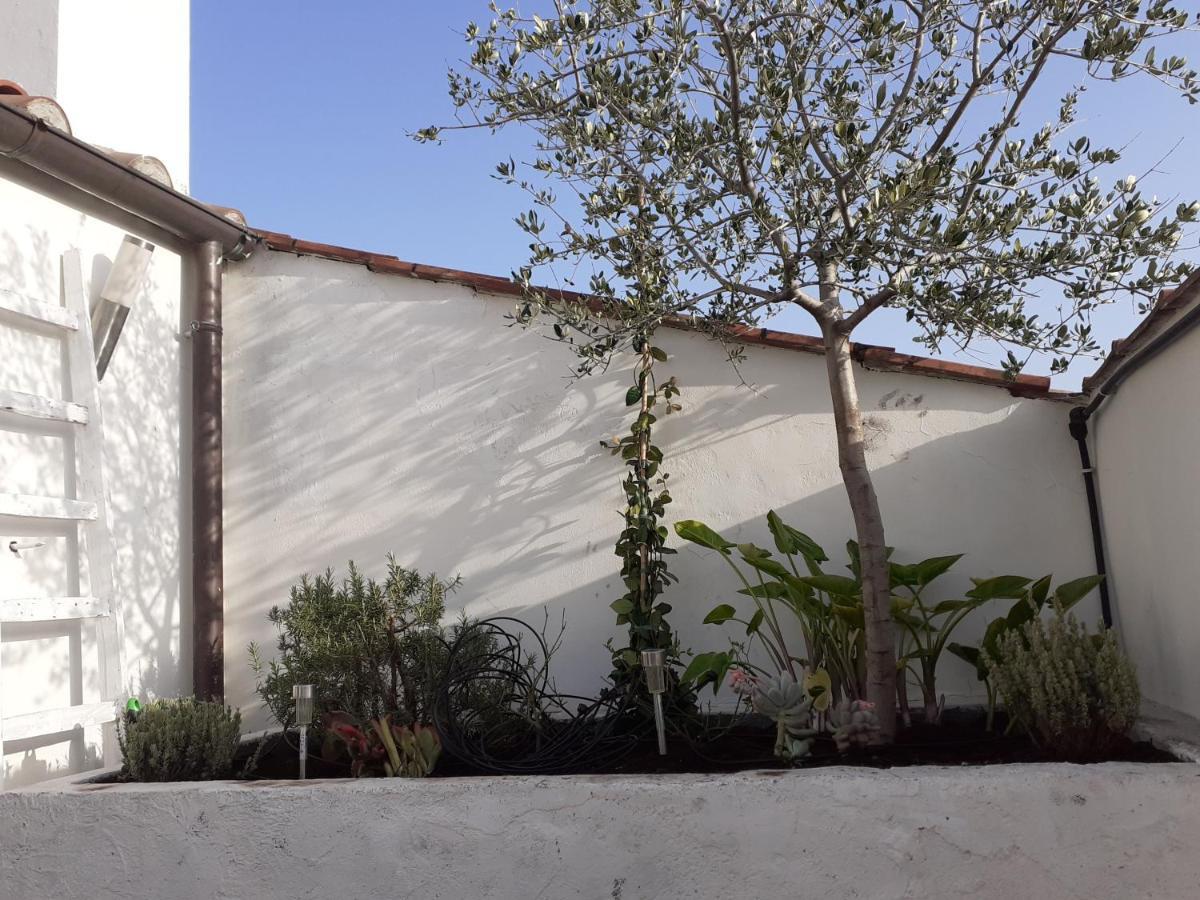 Apartmán Il Nido Terni Exteriér fotografie